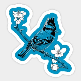 Crested Sparrow on a branch in Japan Sticker